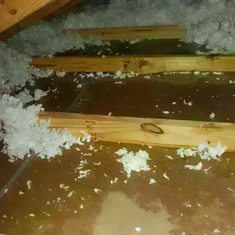 Attic Water Damage in Dyer, TN