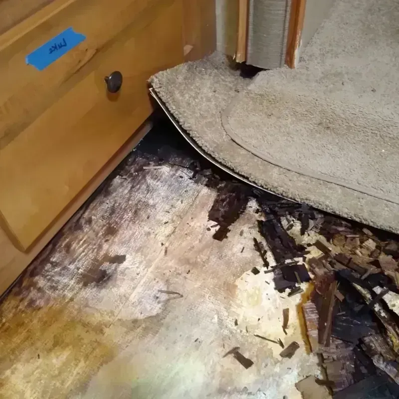 Wood Floor Water Damage in Dyer, TN